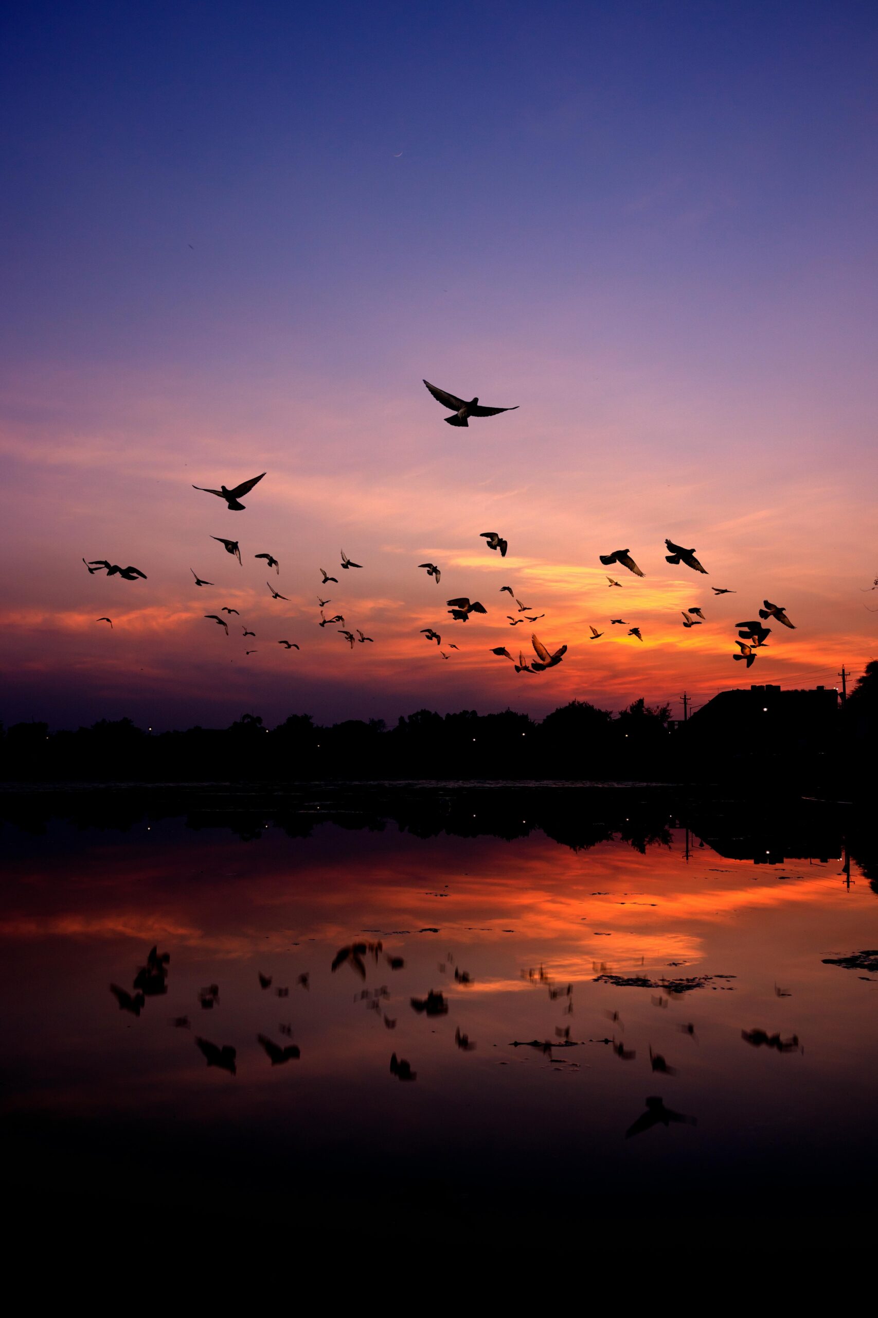 Golden Triangle with Chilika Lake