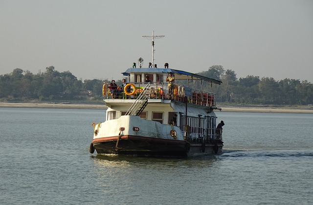 Assam Tea Gardens & River Cruise